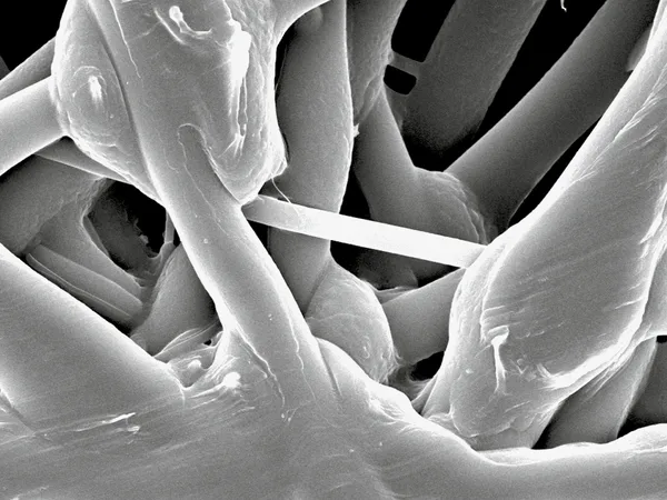 Fiber detail